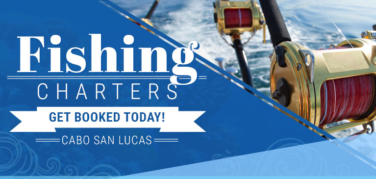 Cabo Fishing Charters