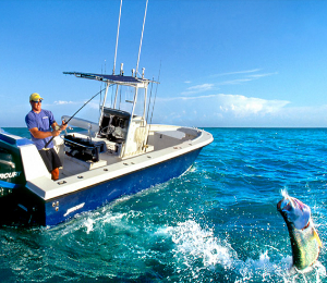 Cabo Fishing Charters