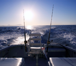 Cabo San Lucas